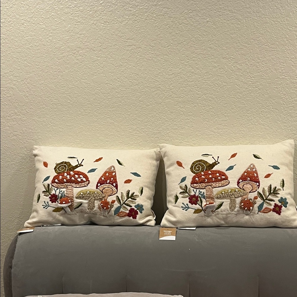 Cost Plus World Market cream Throw Pillows set of 2. NWT
